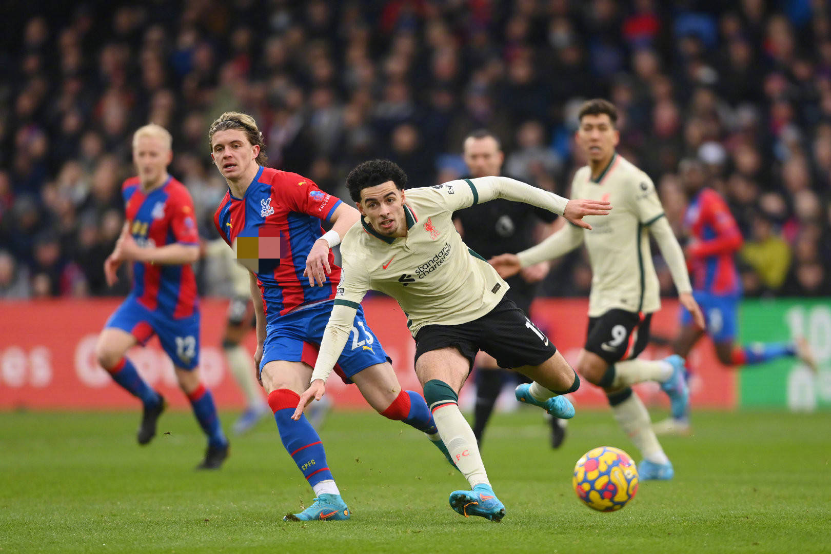 迪奥拉已经 迪奥拉已经